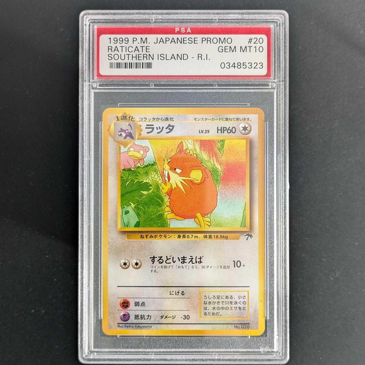PTCG Singles - Raticate (SI-JP) - Southern Islands JP - Japanese - PSA 10 - 