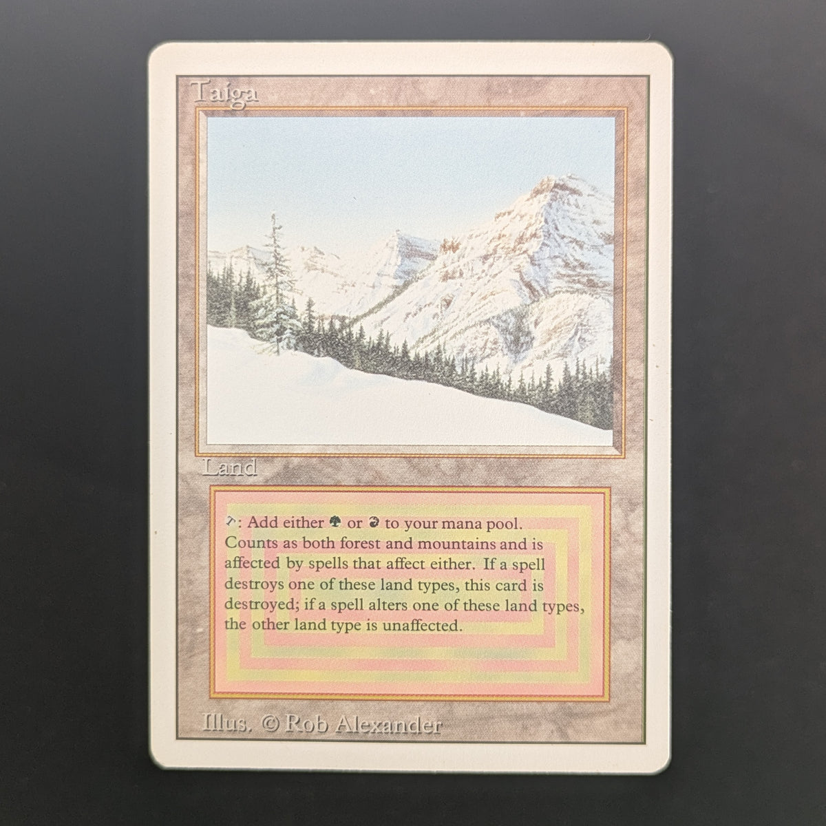 MTG Singles - Taiga - Revised - GD - 36923