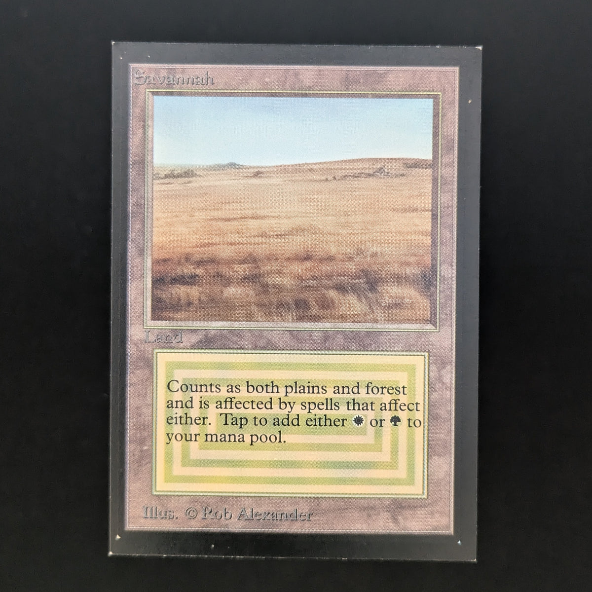 MTG Singles - Savannah - Collectors' Edition - GD - 37078