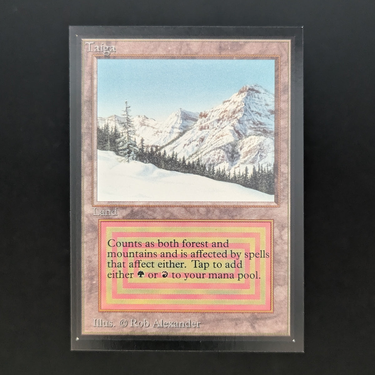 MTG Singles - Taiga - International Edition - NM - 37080