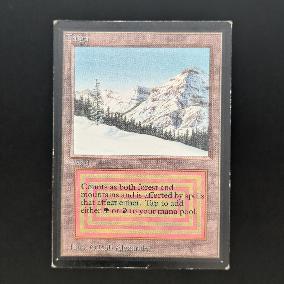MTG Singles - Taiga - International Edition - PL - 37081