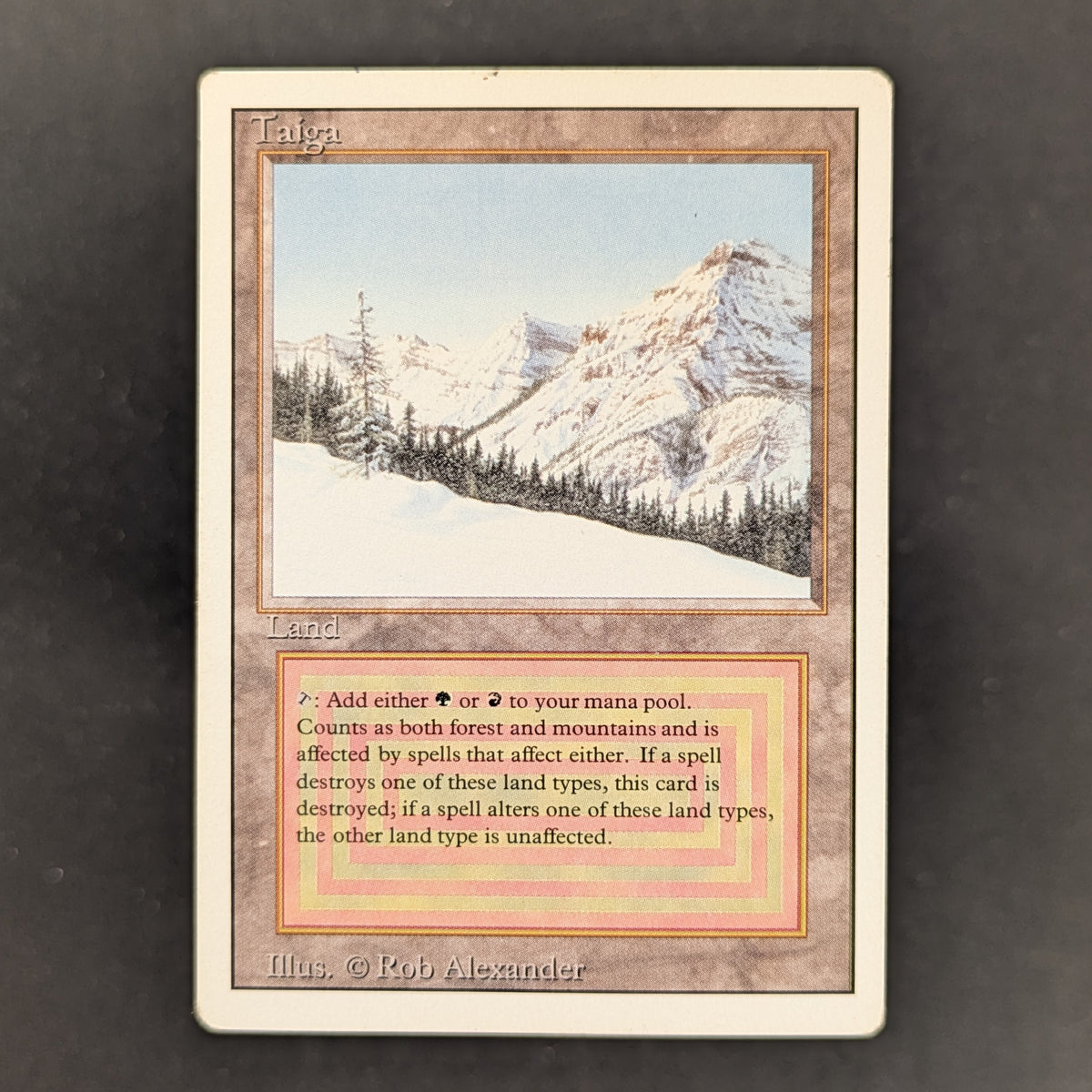 MTG Singles - Taiga - Revised - PL - 37164