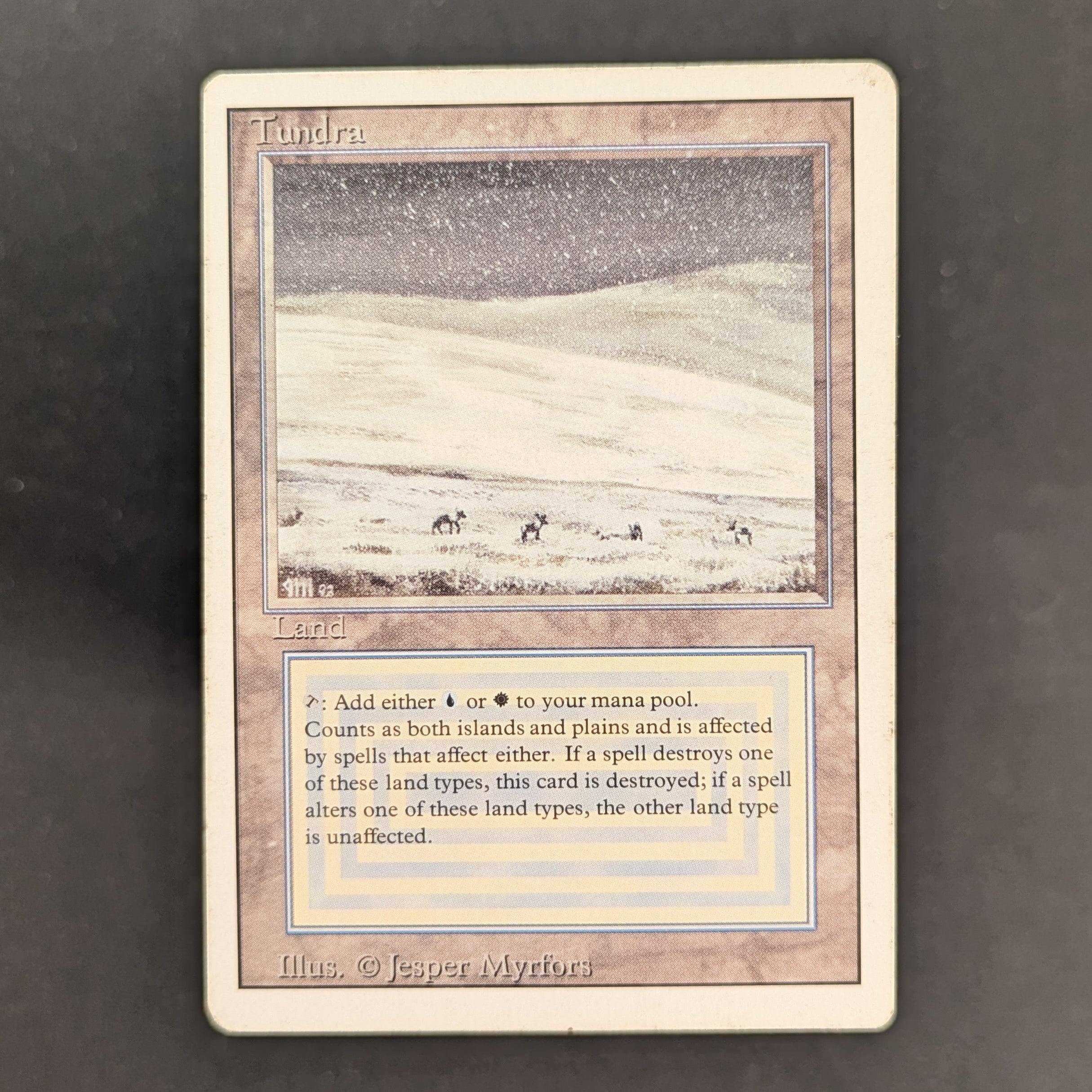 Tundra - Revised