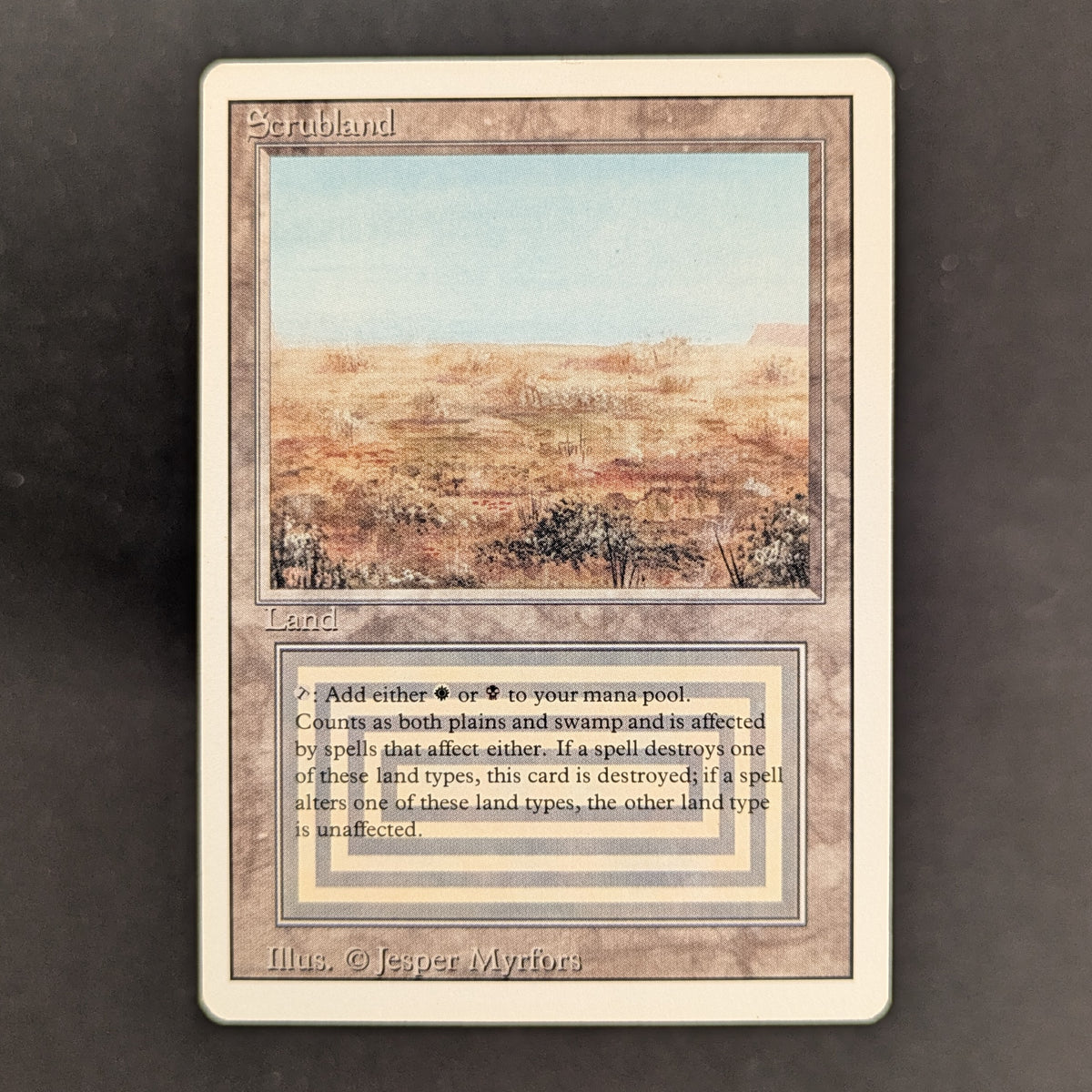 Scrubland - Revised