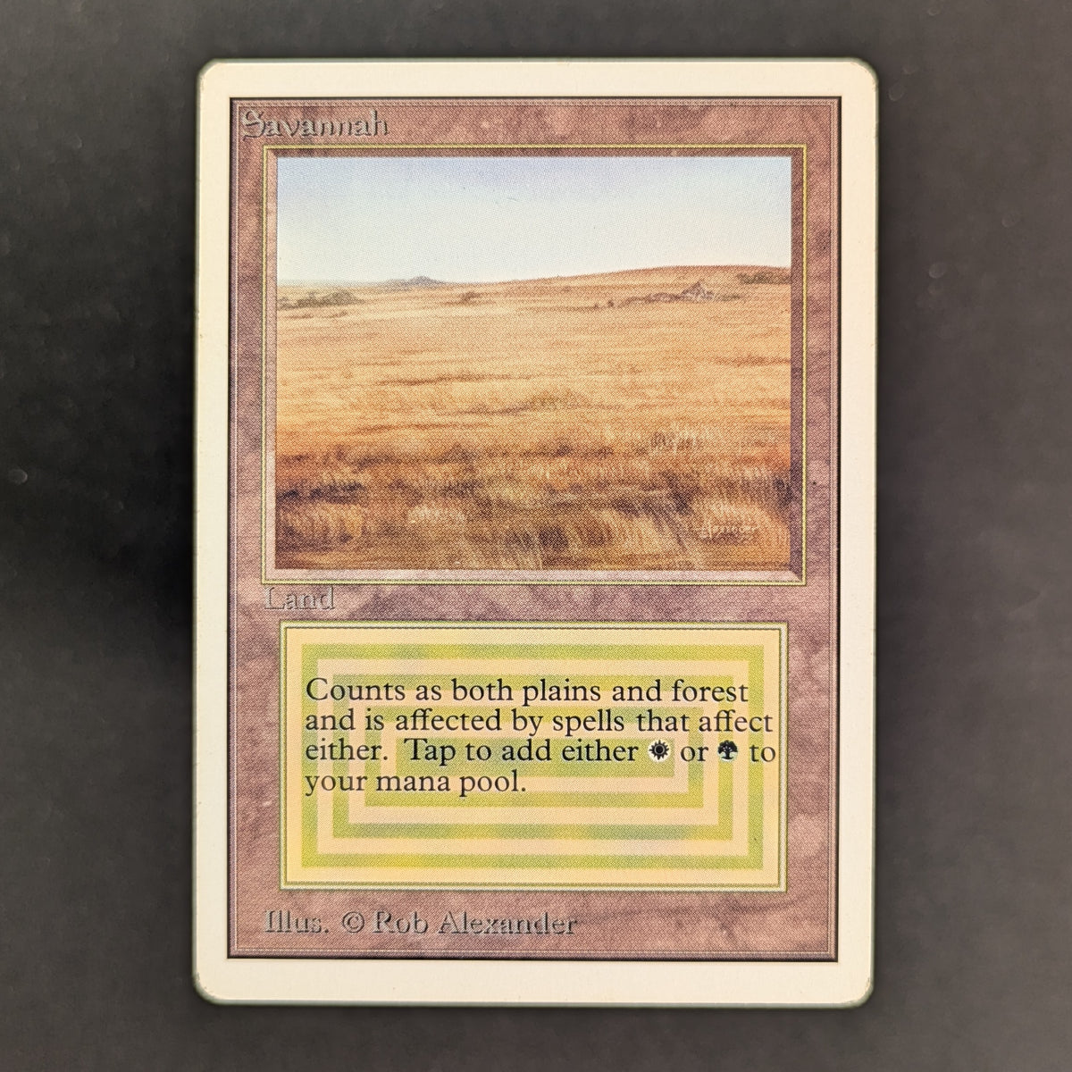MTG Singles - Savannah - Unlimited - PL - 37192