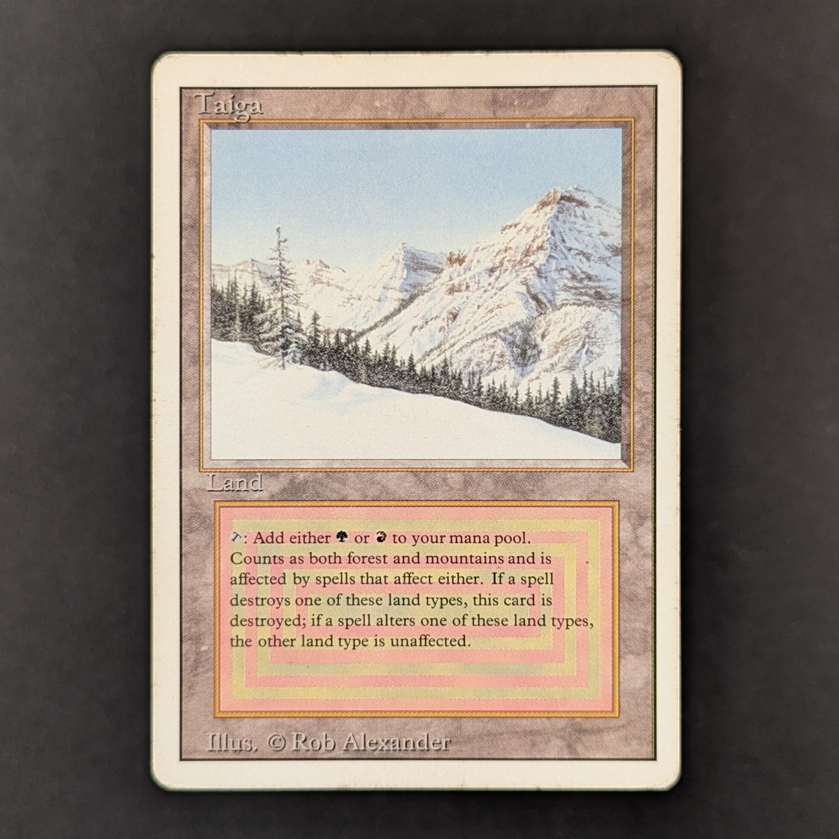 MTG Singles - Taiga - Revised - 