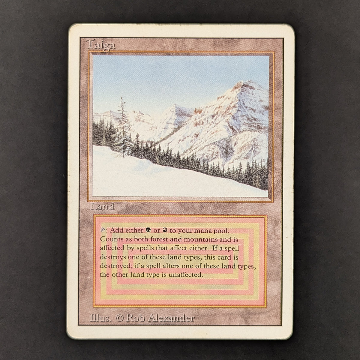 MTG Singles - Taiga - Revised - 