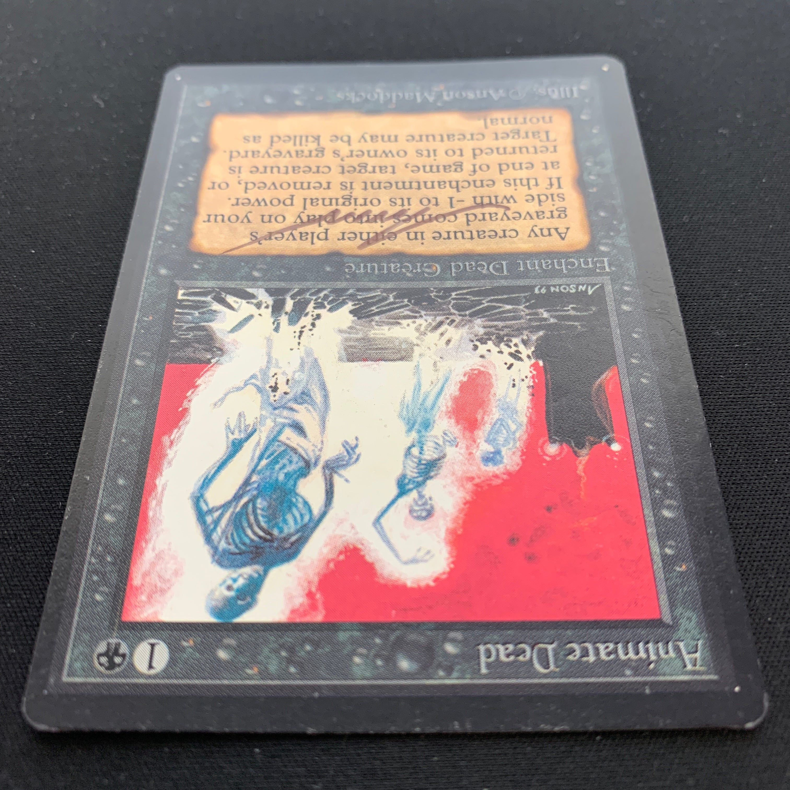 MTG Singles - Animate Dead - Beta - 