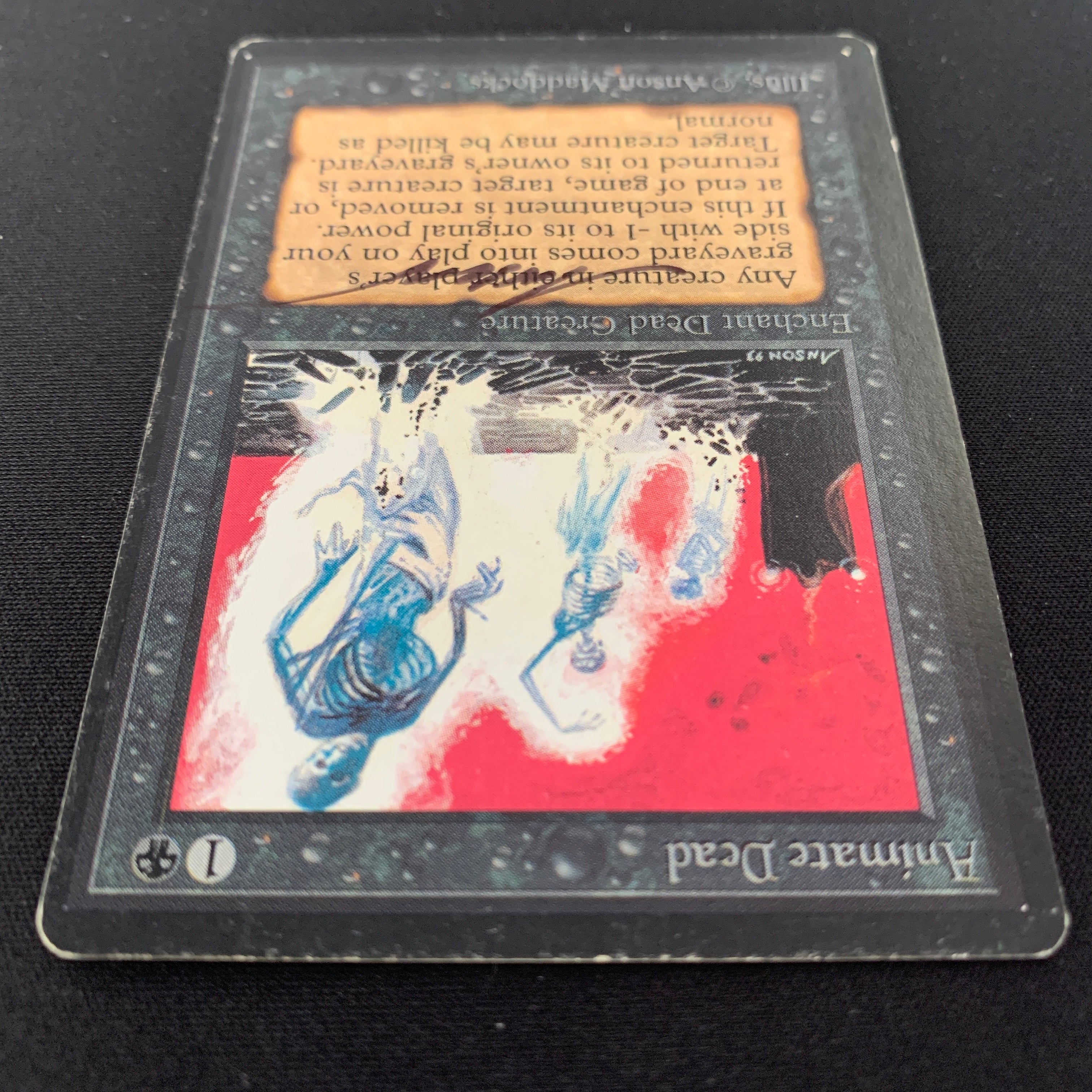 MTG Singles - Animate Dead - Beta - 