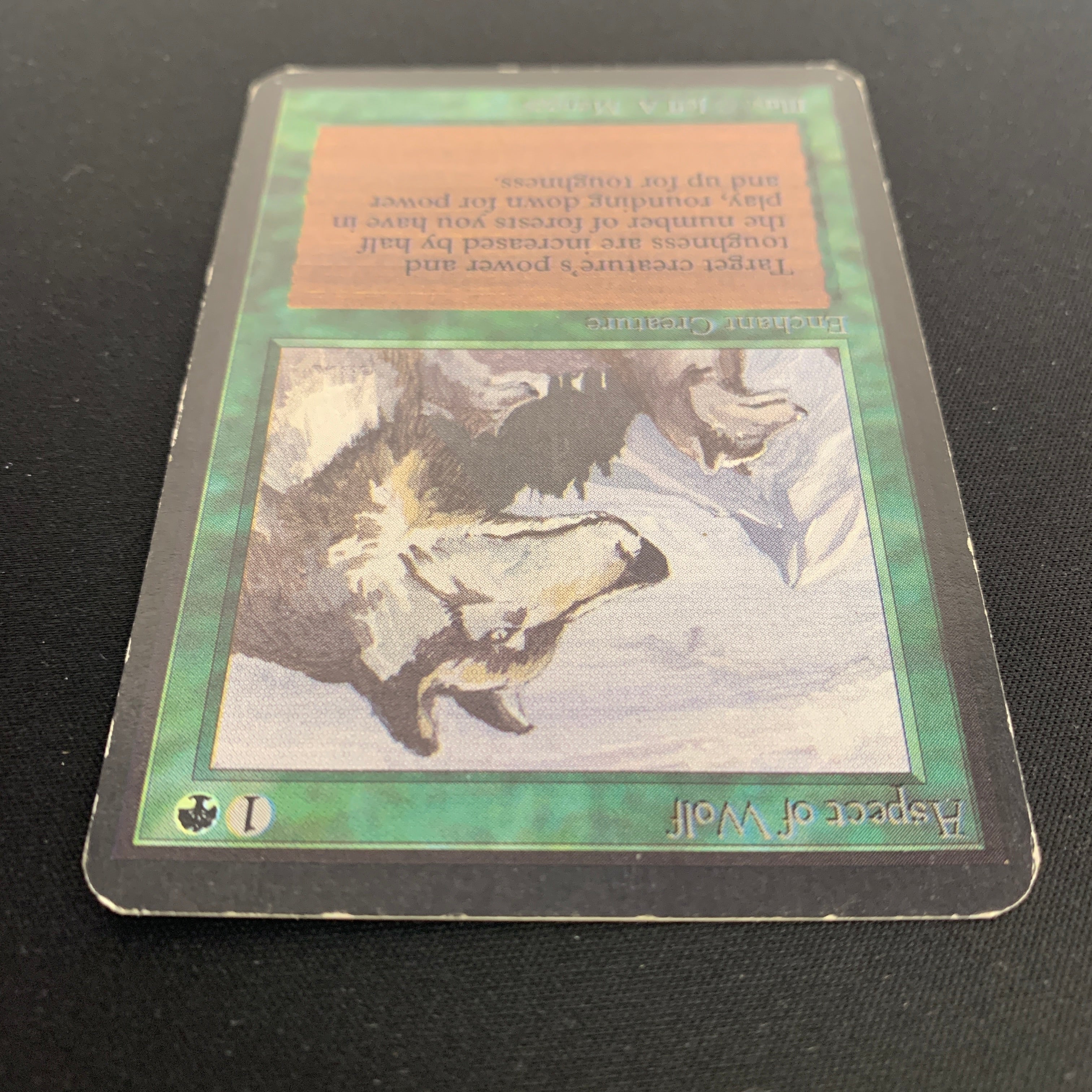 MTG Singles - Aspect of Wolf - Alpha - 