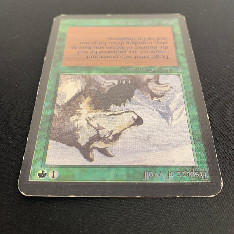 Magic the Gathering Aspect of Wolf - Alpha 