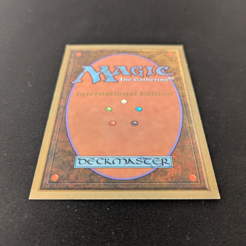 Magic the Gathering Bayou - International Edition 