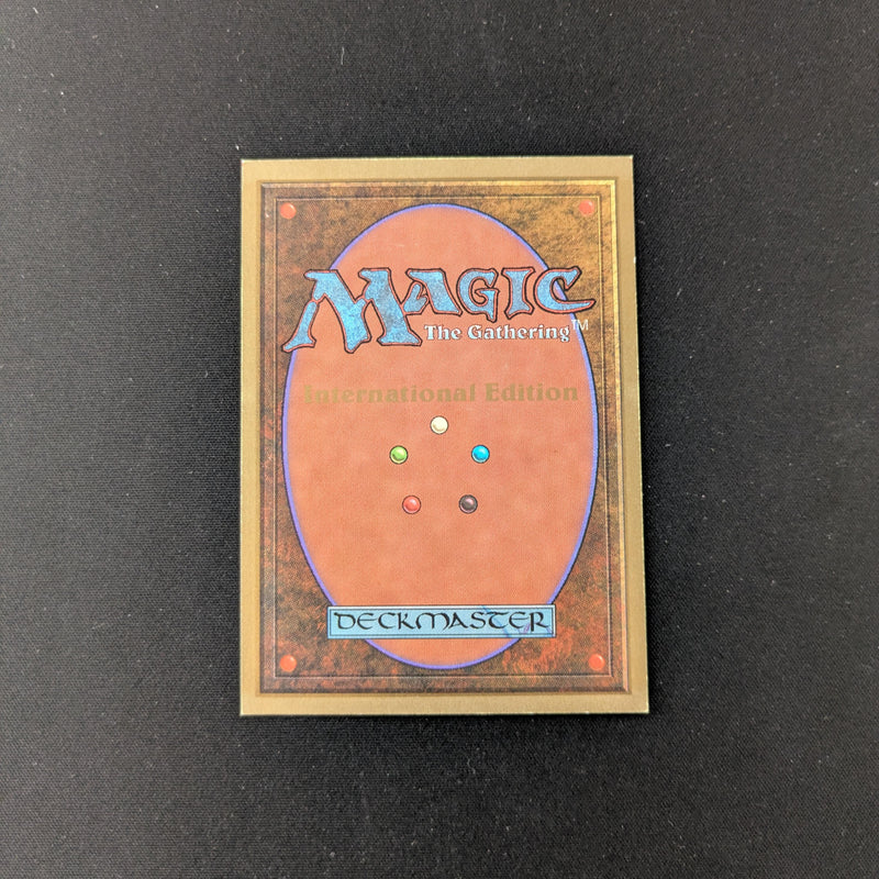 Magic the Gathering Bayou - International Edition 