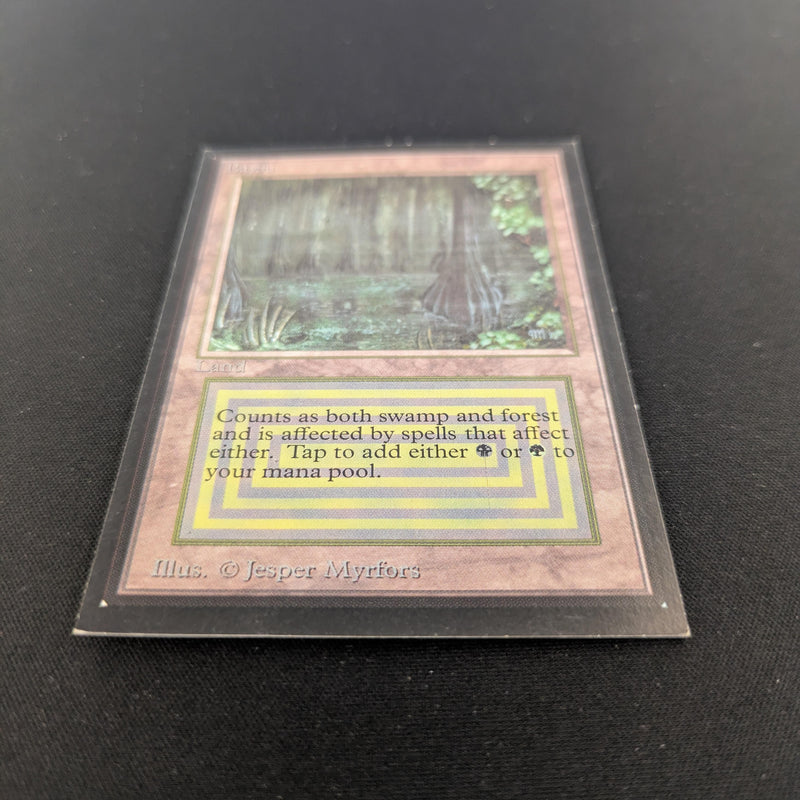 Magic the Gathering Bayou - International Edition 