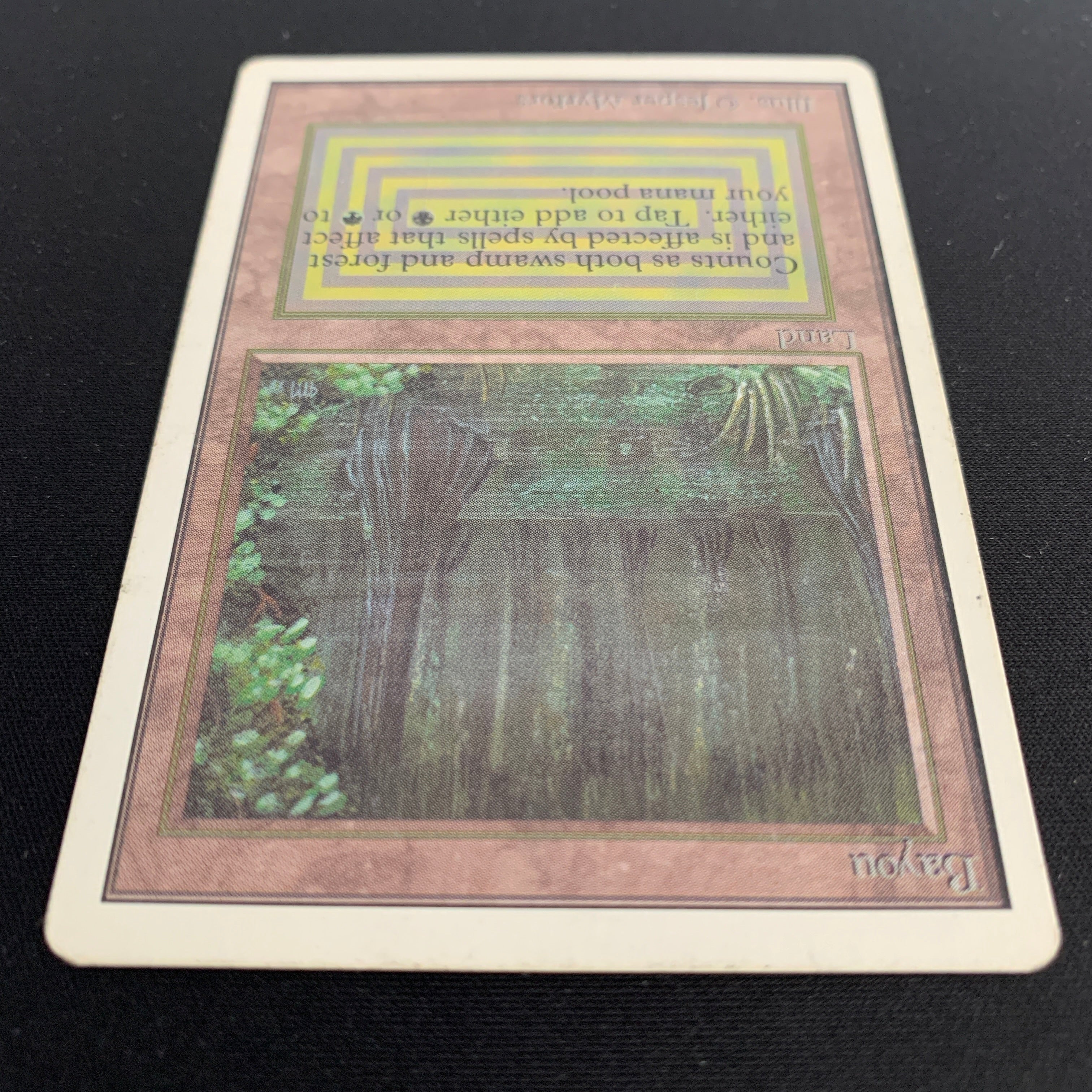 MTG Singles - Bayou - Unlimited - 