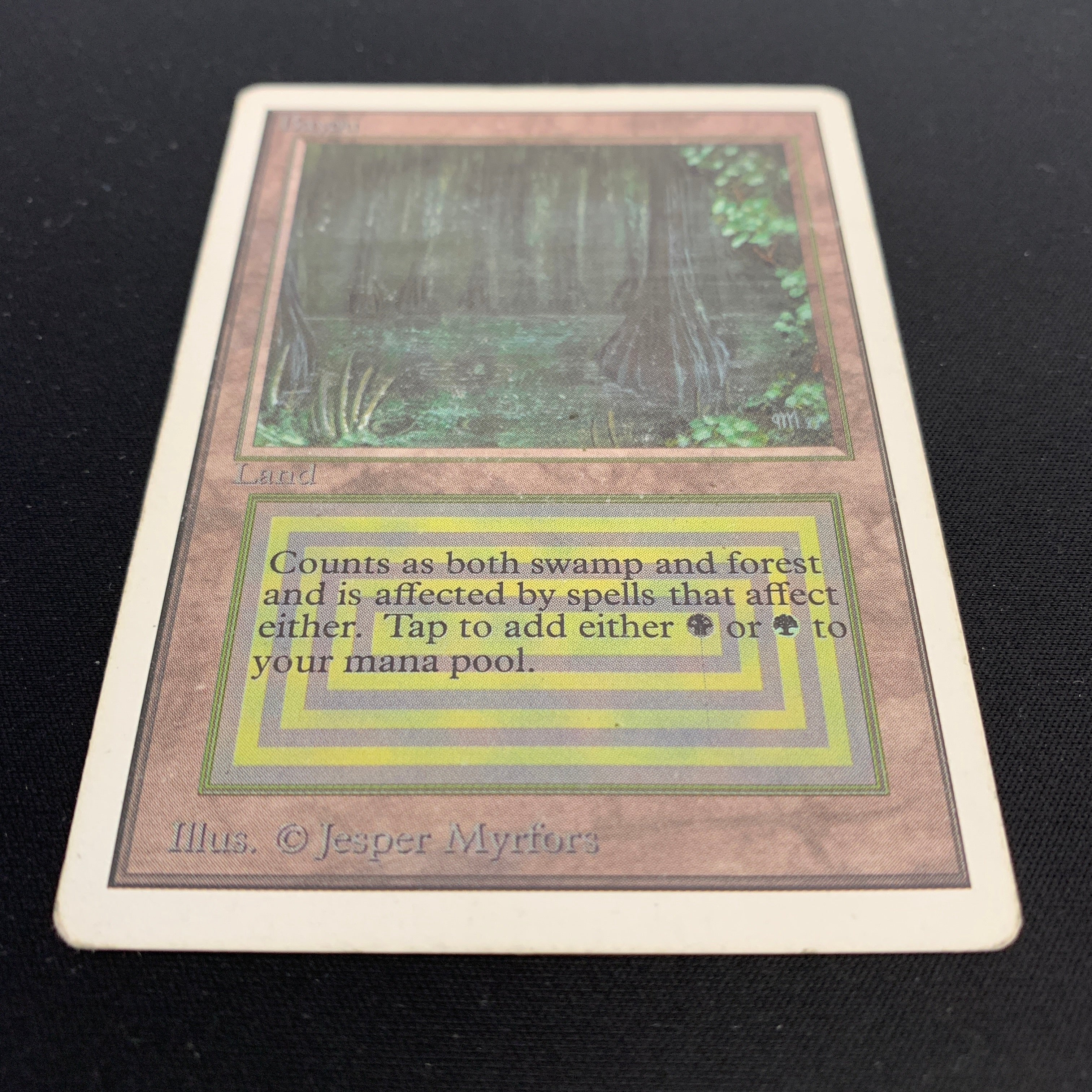 MTG Singles - Bayou - Unlimited - 