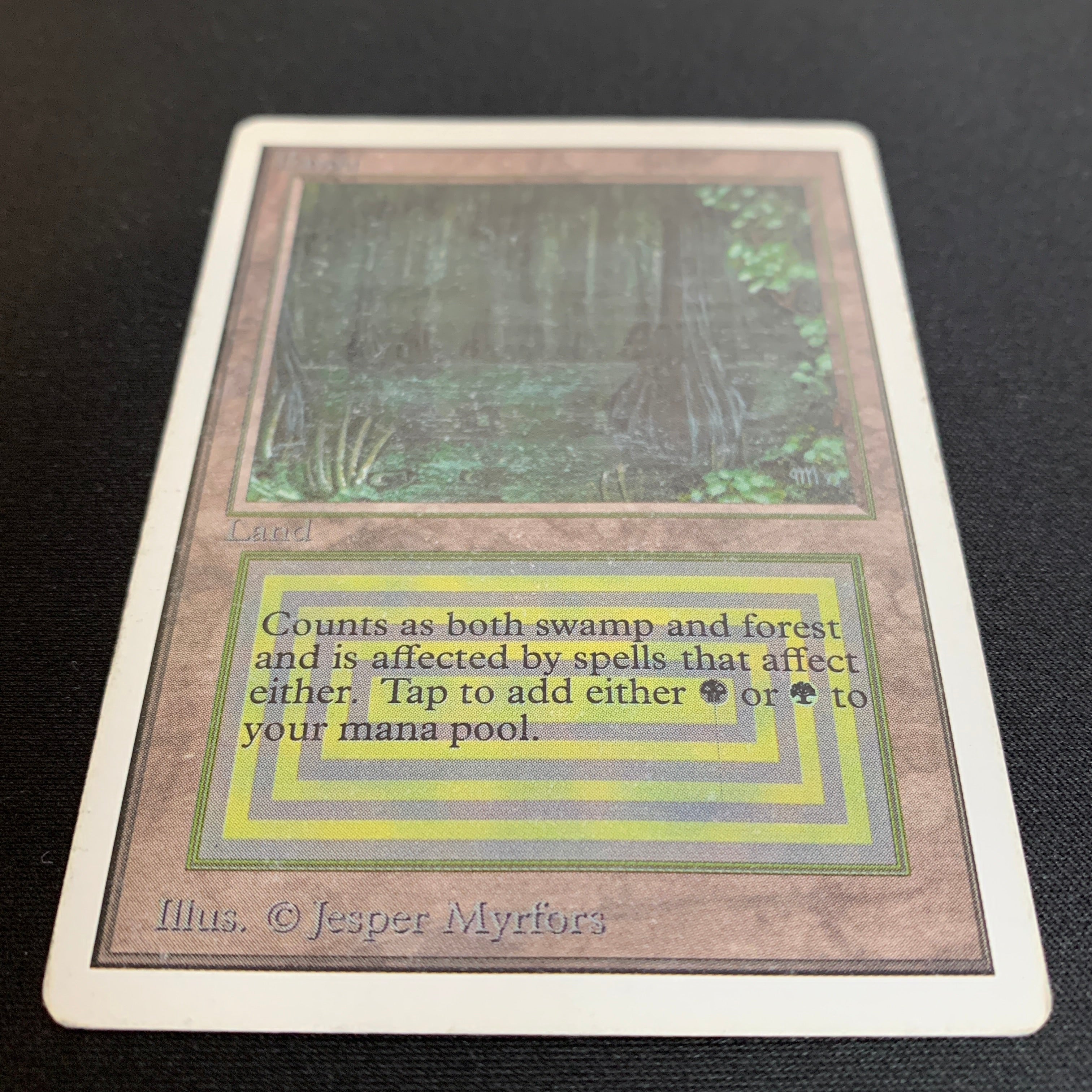 MTG Singles - Bayou - Unlimited - 