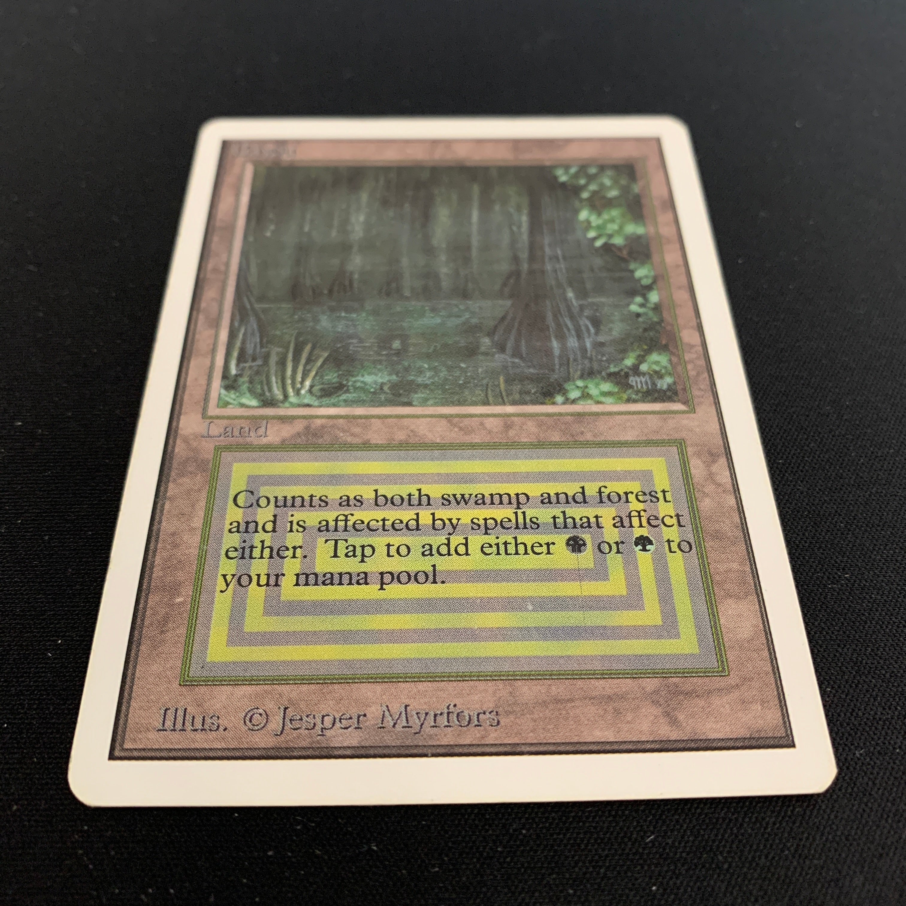 MTG Singles - Bayou - Unlimited - 