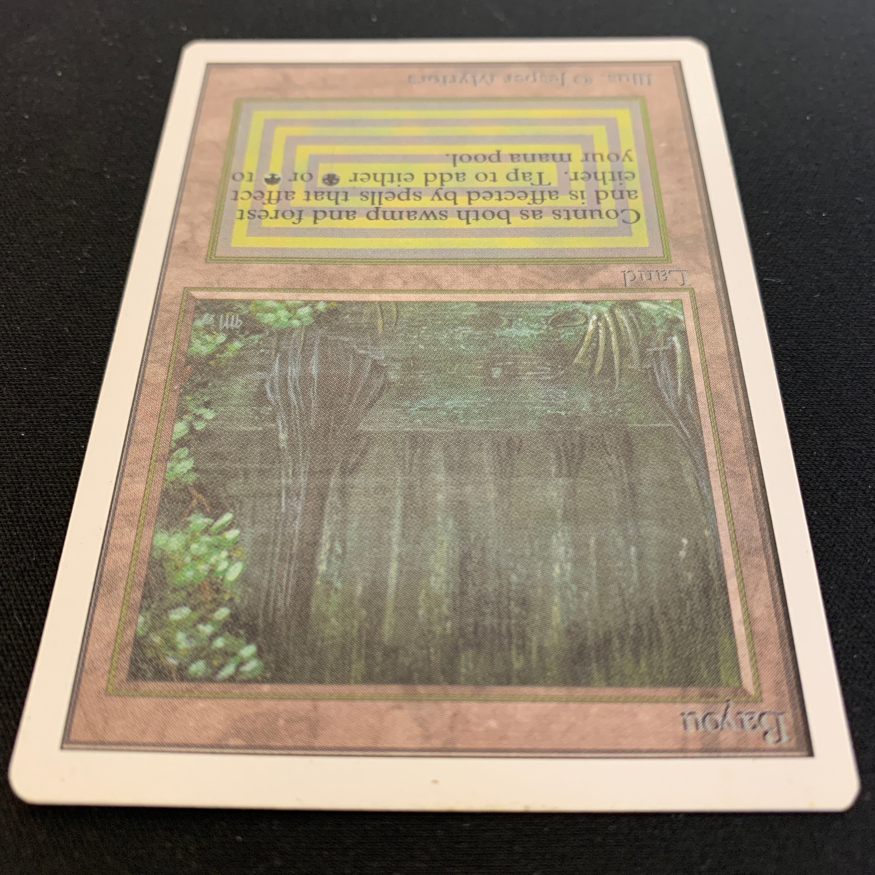 MTG Singles - Bayou - Unlimited - 