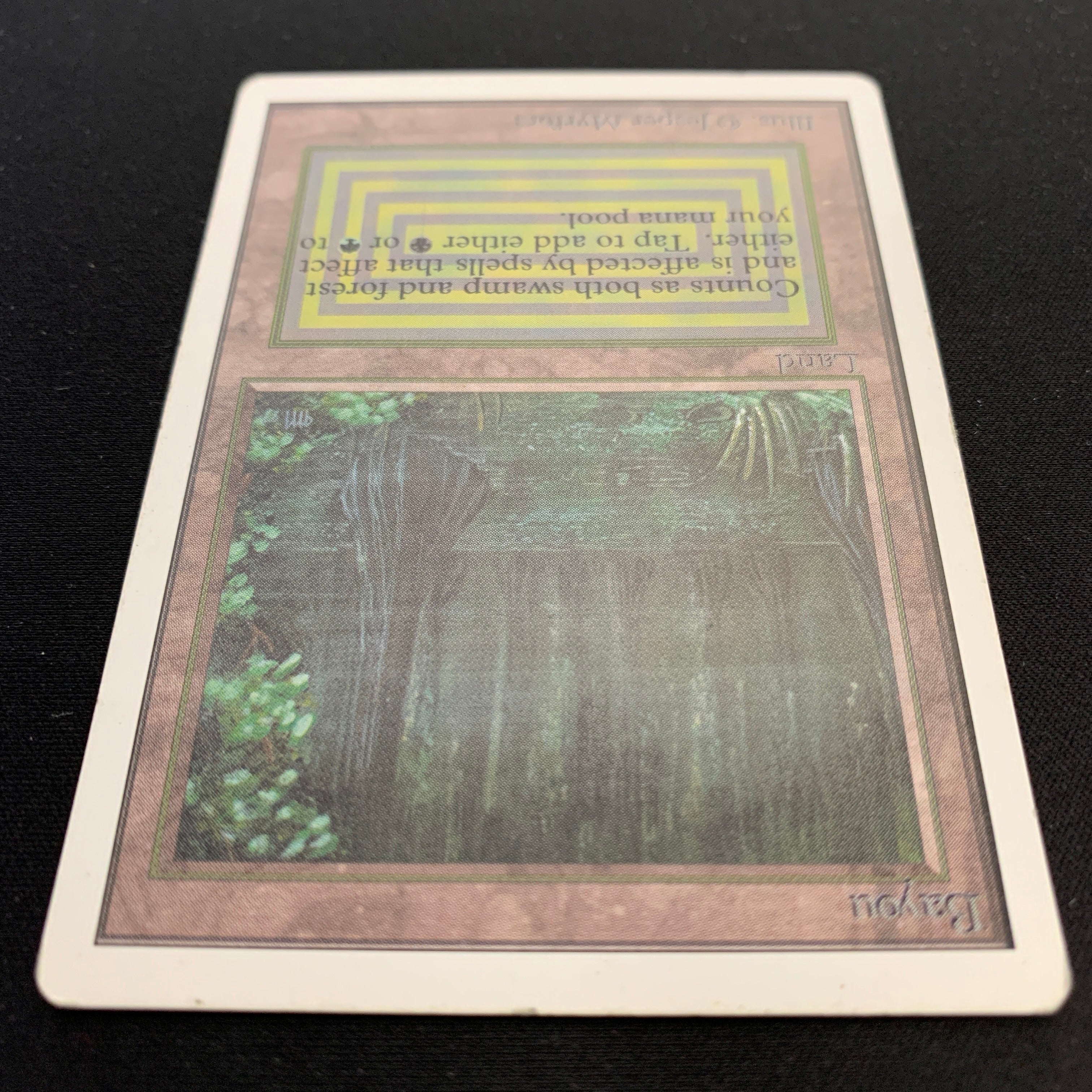 MTG Singles - Bayou - Unlimited - 