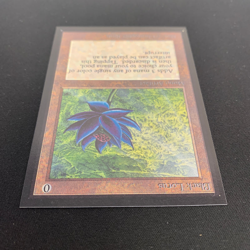 Black Lotus - International Edition