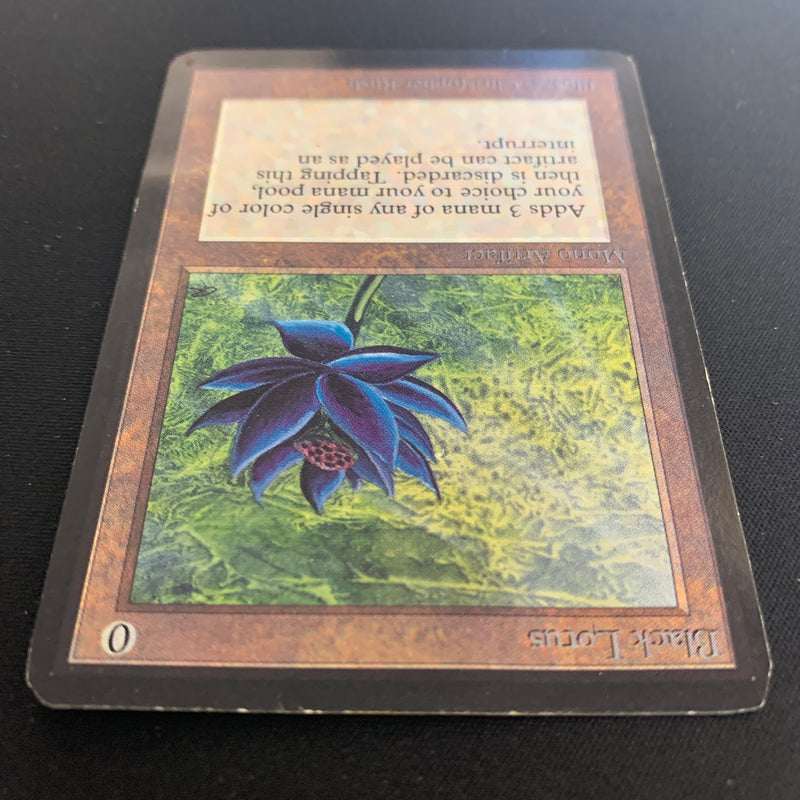 Black Lotus - International Edition