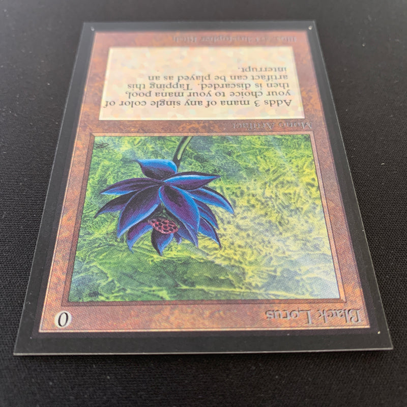 Black Lotus - International Edition