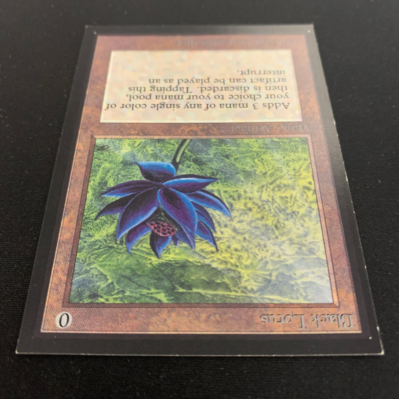 Black Lotus - International Edition