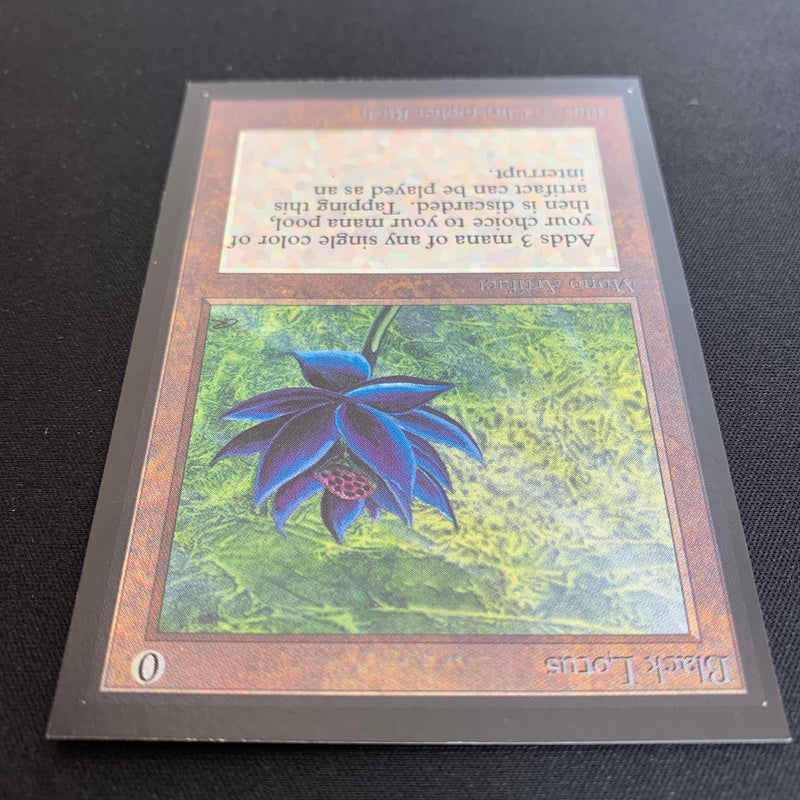 Black Lotus - International Edition