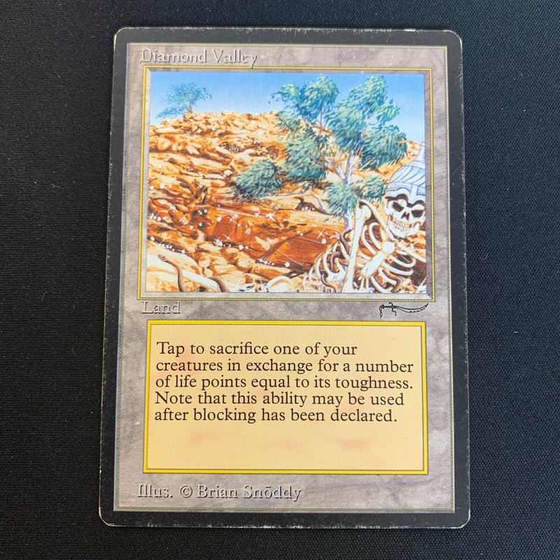 Magic the Gathering Diamond Valley - Arabian Nights 