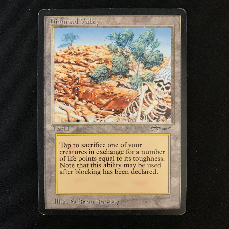 Magic the Gathering Diamond Valley - Arabian Nights 