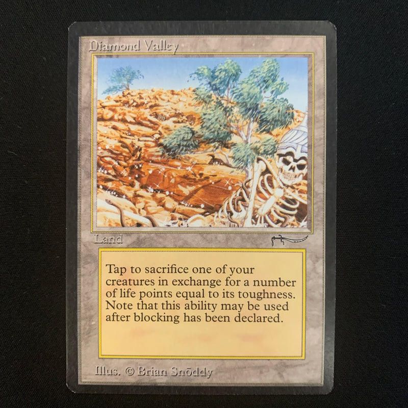 Magic the Gathering Diamond Valley - Arabian Nights NM - 22940