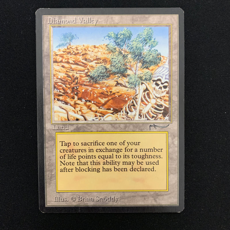 Magic the Gathering Diamond Valley - Arabian Nights 