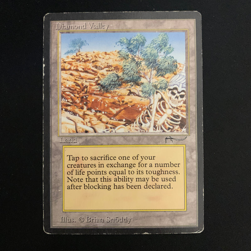 Magic the Gathering Diamond Valley - Arabian Nights 