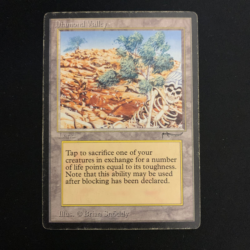 Magic the Gathering Diamond Valley - Arabian Nights 