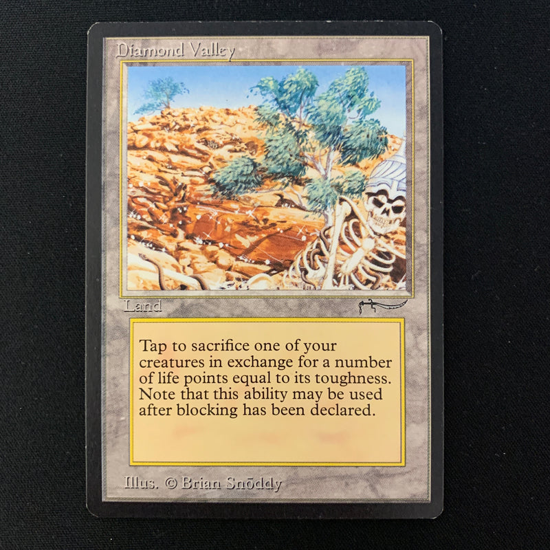 Magic the Gathering Diamond Valley - Arabian Nights 