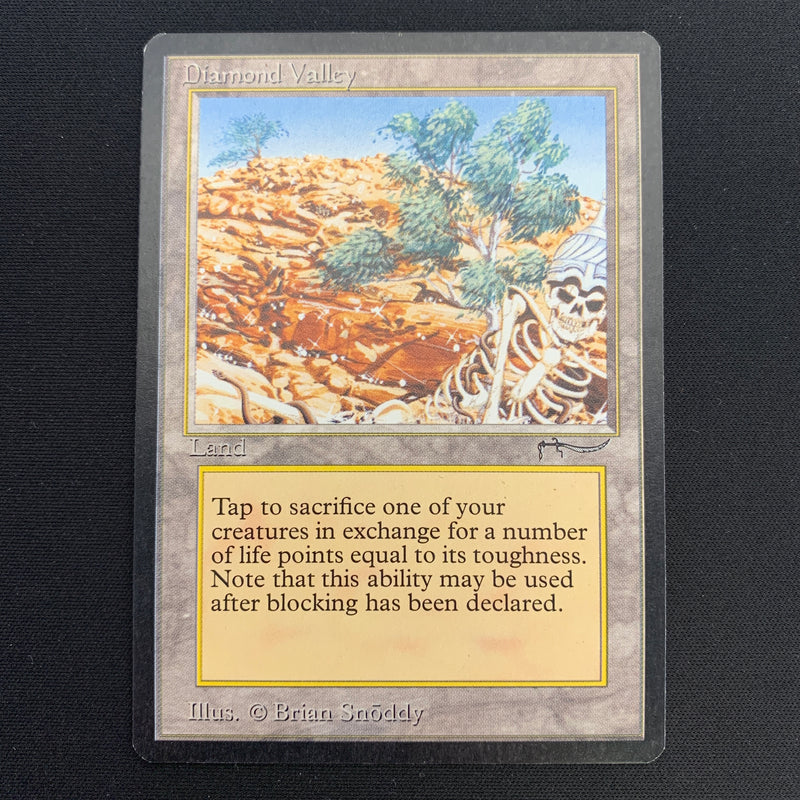 Magic the Gathering Diamond Valley - Arabian Nights 