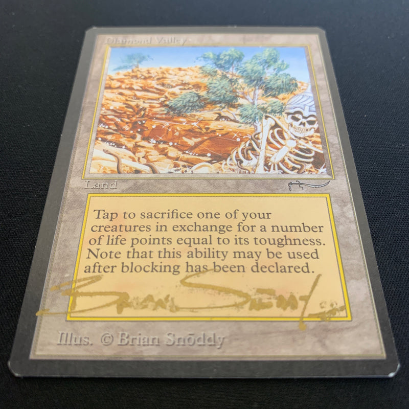 Magic the Gathering Diamond Valley - Arabian Nights 