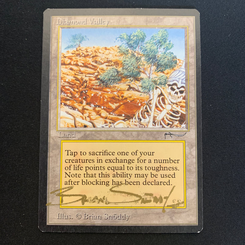 Magic the Gathering Diamond Valley - Arabian Nights 