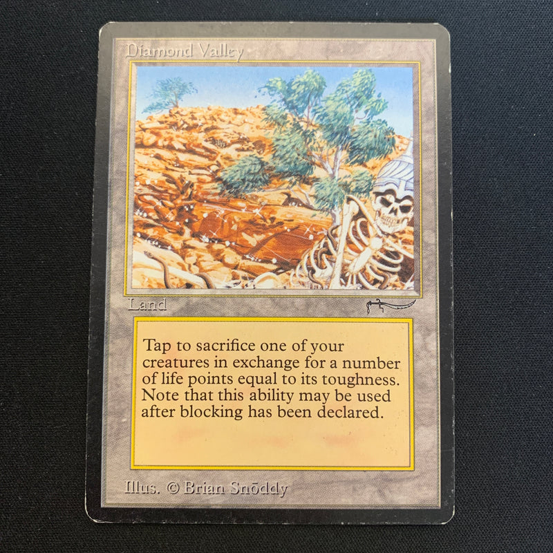 Magic the Gathering Diamond Valley - Arabian Nights 