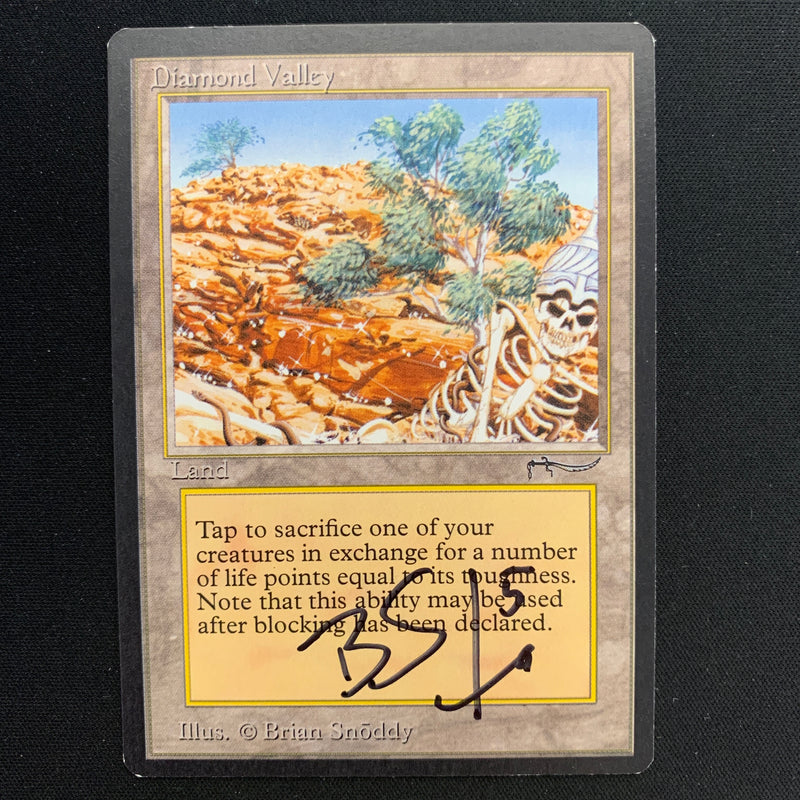 Magic the Gathering Diamond Valley - Arabian Nights 