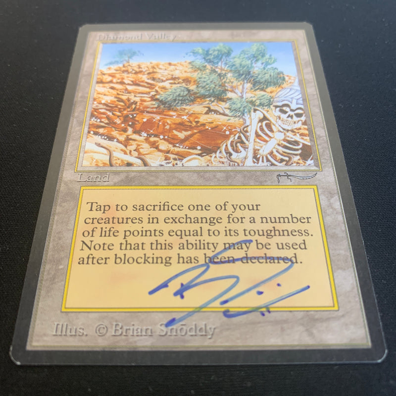 Magic the Gathering Diamond Valley - Arabian Nights 