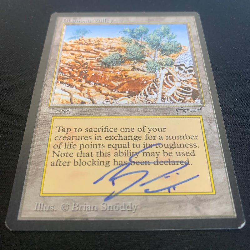 Magic the Gathering Diamond Valley - Arabian Nights 