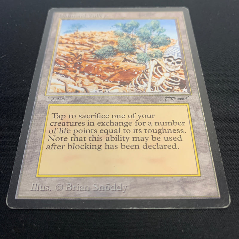 Magic the Gathering Diamond Valley - Arabian Nights 