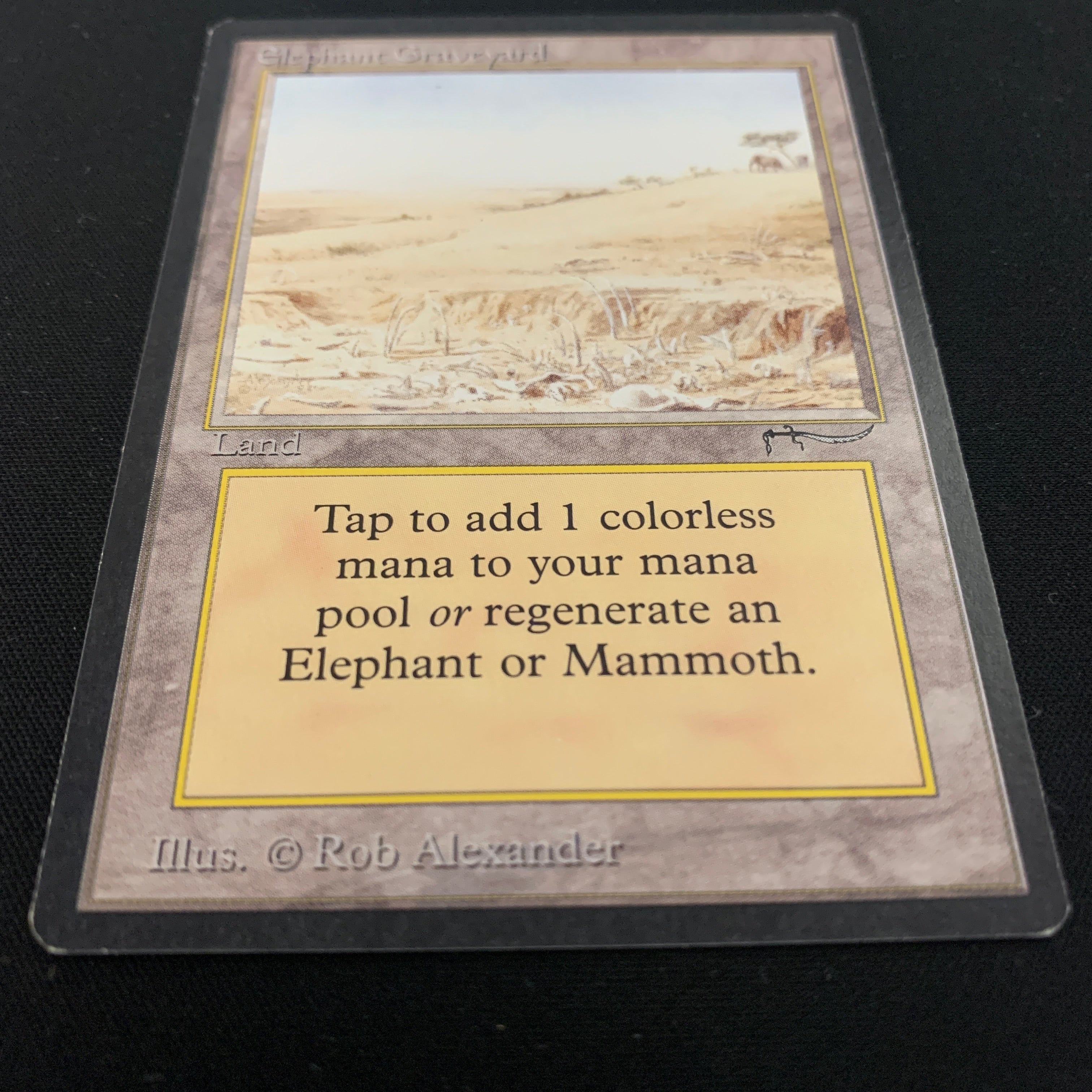 MTG Singles - Elephant Graveyard - Arabian Nights - 