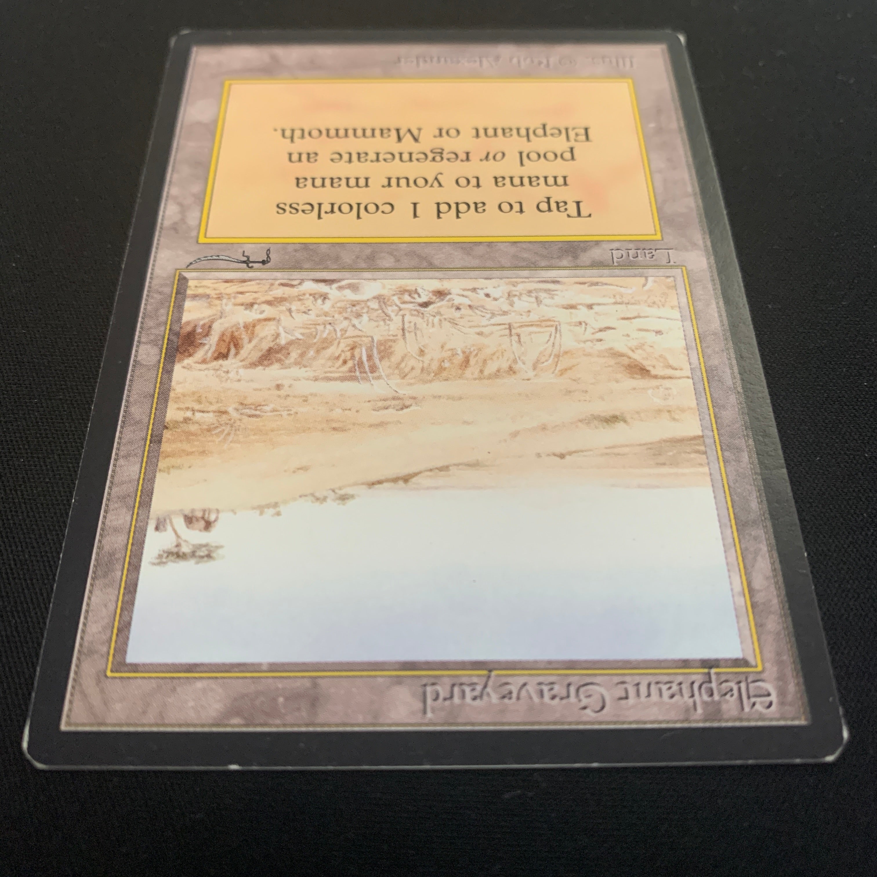 MTG Singles - Elephant Graveyard - Arabian Nights - 