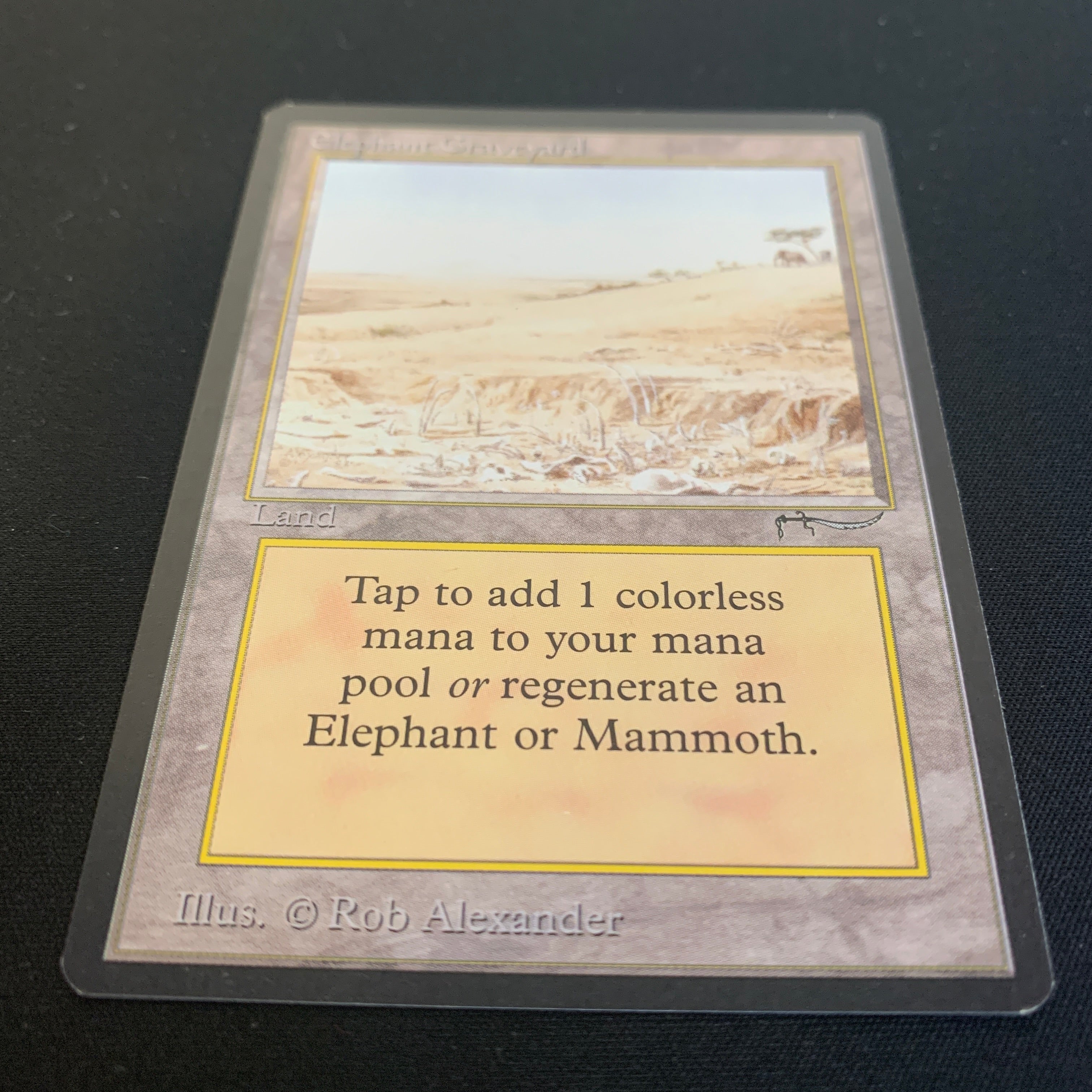 MTG Singles - Elephant Graveyard - Arabian Nights - 