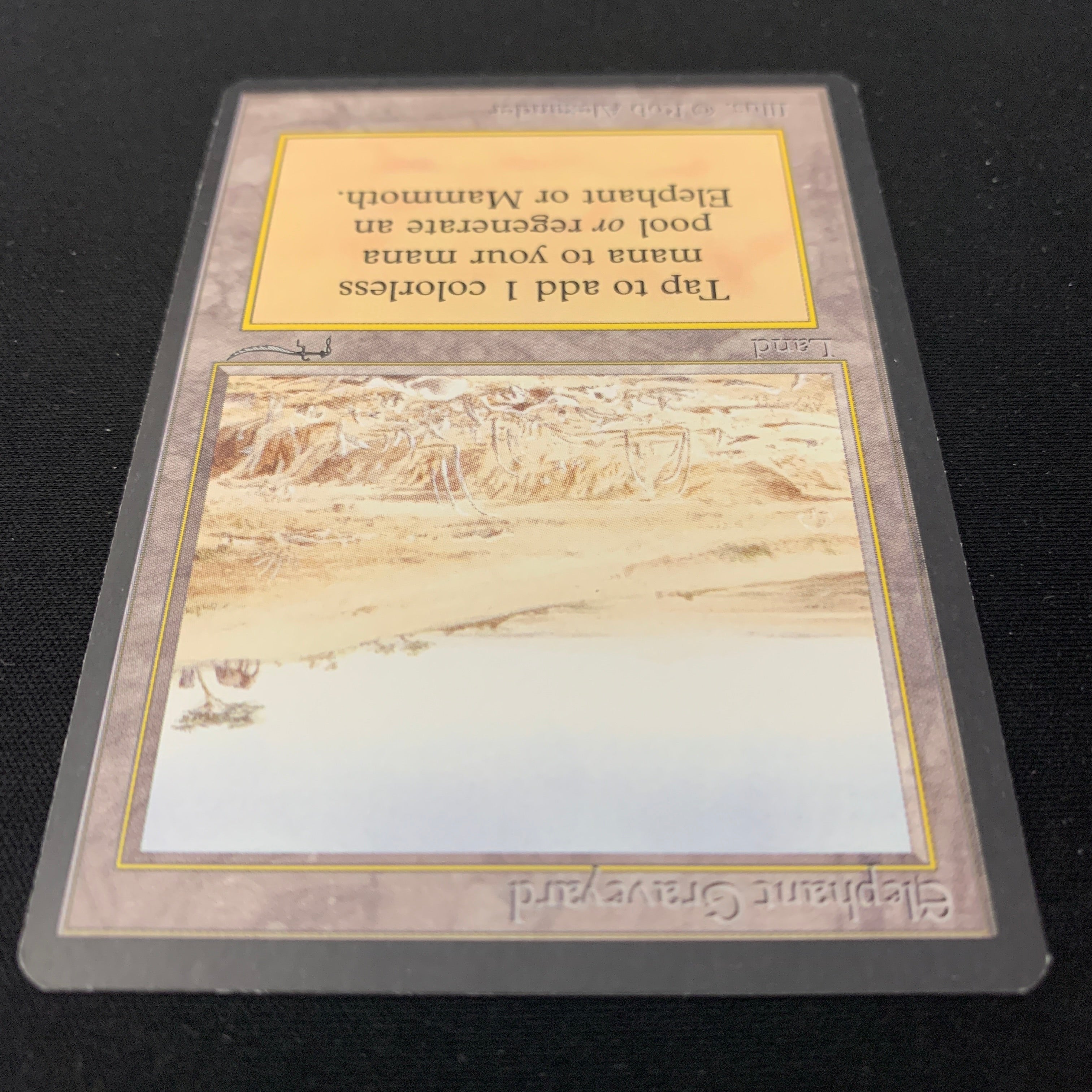 MTG Singles - Elephant Graveyard - Arabian Nights - 