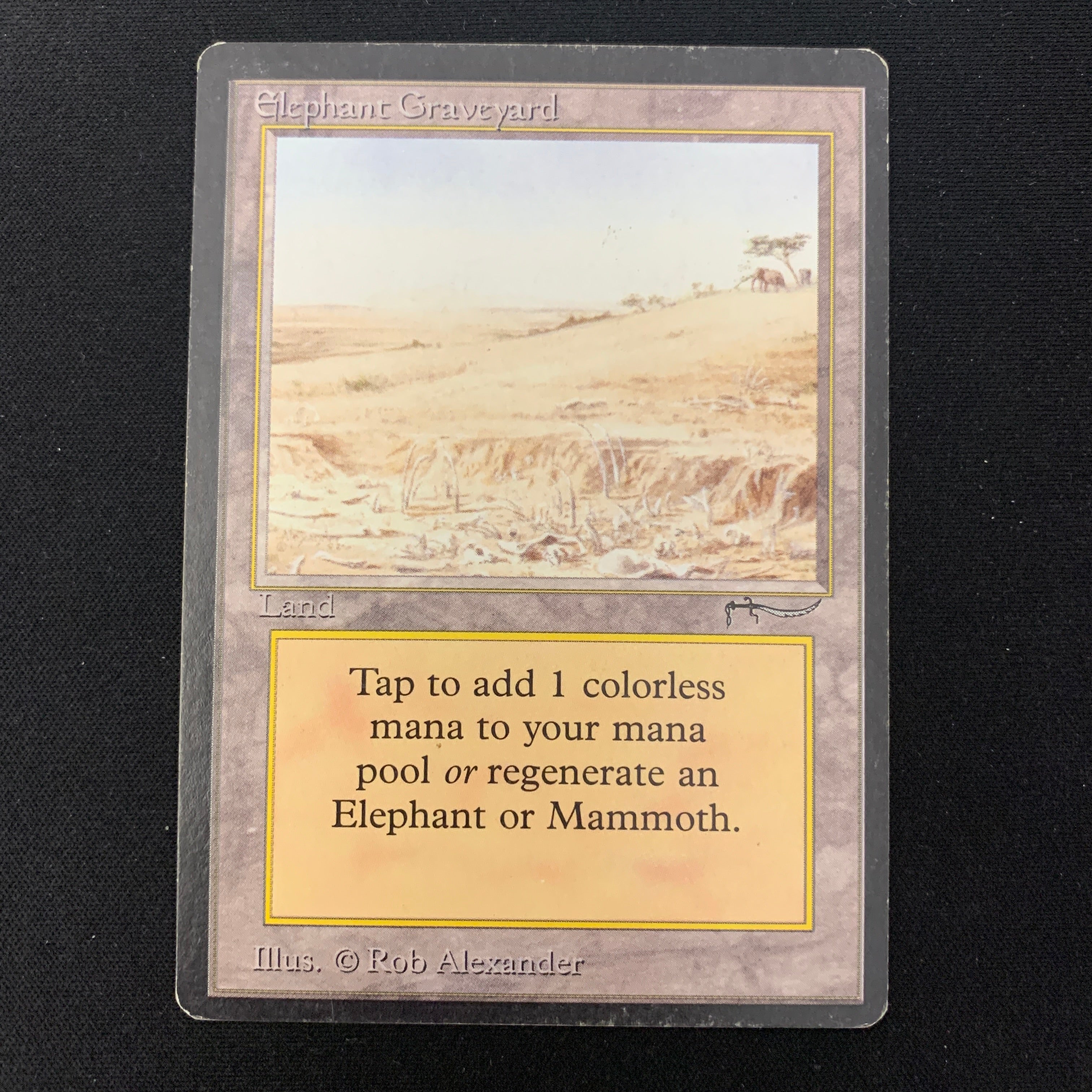 MTG Singles - Elephant Graveyard - Arabian Nights - 