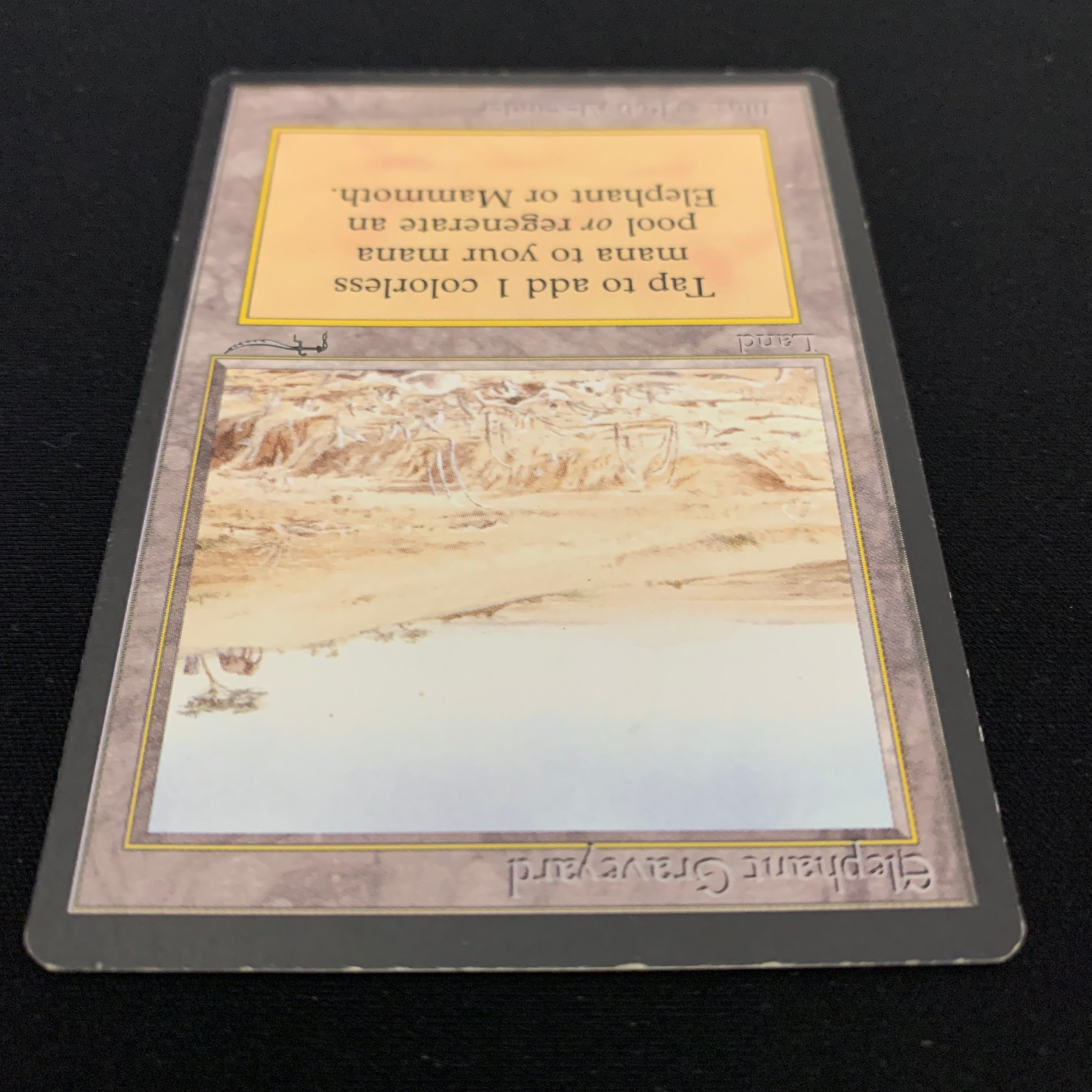 MTG Singles - Elephant Graveyard - Arabian Nights - 